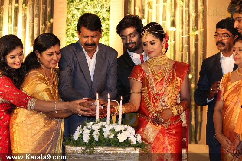 Malayalam Actress Sruthi Lakshmi Marriage