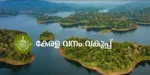 ടിംബര്‍ സെയില്‍സ് ഡിവിഷന്‍ തടി വില്പ്പന:ഇ-ലേലം മെയ് മാസത്തില്‍