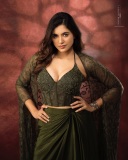 anju-kurian-in-saree-fashion-photos-005