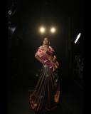 1_actress-anumol-in-kanchipuram-saree-photoshoot-photos.shyam_441578140_18430858861000805_4939562426923240603_n
