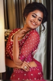 Anupama Parameswaran latest photos2341