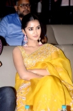 Karthikeya 2 Actress Anupama Parameswaran Saree Pics