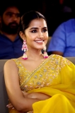 Actress Anupama Parameswaran Saree Pics @ Karthikeya 2 Success Meet