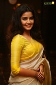 anupama-parameswaran-latest-photos-0352-00664