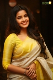 anupama-parameswaran-latest-photos-0352-00736