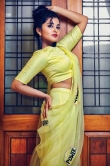 anupama parameswaran latest saree photos