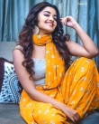 anupama-parameswaran-new-photos-018-291