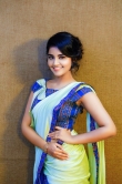 anupama-parameswaran-saree-pictures-042324-249