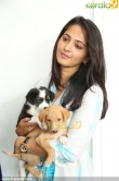 anushka-latest-photo-gallery-00188