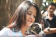 anushka-latest-photo-gallery-0022