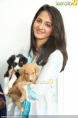 anushka-latest-photo-gallery46