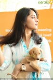 anushka-latest-photos-00433