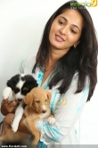 anushka-latest-photos-00834