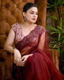 actress-anusree-in-maroon-net-saree-photos-001