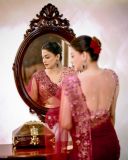 actress-anusree-in-maroon-net-saree-photos-003