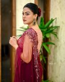 actress-anusree-in-maroon-net-saree-photos-004