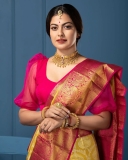 anusree-in-kanchipuram-saree-photos-001