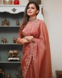 anusree-photoshoot-in-burgundy-red-shade-dress