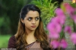 bhavana-picture-gallery-900-00115