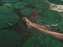 deepti-sati-viral-photoshoot-in-water-latest