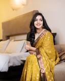 malavika-c-menon-in-golden-yellow-saree-and-green-blouse-photos-001