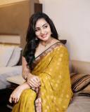 malavika-c-menon-in-golden-yellow-saree-and-green-blouse-photos-006