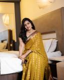 malavika-c-menon-in-golden-yellow-saree-and-green-blouse-photos-007