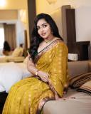 malavika-c-menon-in-golden-yellow-saree-and-green-blouse-photos-008