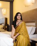 malavika-c-menon-in-golden-yellow-saree-and-green-blouse-photos-009