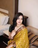 malavika-c-menon-in-golden-yellow-saree-and-green-blouse-photos-011