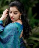 malavika-menon-in-peacock-color-saree-photos-007