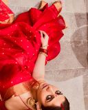 nayanthara-in-red-pattu-saree-with-heavy-ornaments-and-makeup-look-photos-008