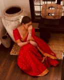 nayanthara-in-red-pattu-saree-with-heavy-ornaments-and-makeup-look-photos-012