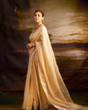 nayanthara-new-photos-in-golden-saree