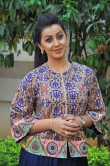 nikki-galrani-37149077050452