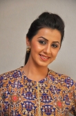 nikki-galrani-5149077050359