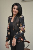 nikki-galrani-images-123-12315