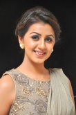 nikki-galrani-latest-images-123-0741