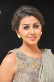 nikki-galrani-latest-images-123-07543