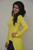 nikki-galrani-latest-images-150-00253