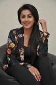 nikki-galrani-latest-images-150-01374