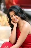 nikki-galrani-latest-photos-0923-00596