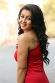 nikki-galrani-latest-photos-0923-0073