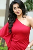 nikki-galrani-latest-photos-0923-00879