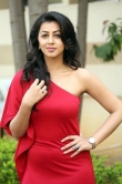 nikki-galrani-latest-photos-0923-00947