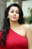 nikki-galrani-latest-photos-0923-01154