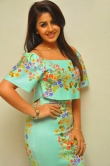 nikki-galrani-latest-photos-110-00223