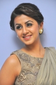 nikki-galrani-latest-pics-369-00262