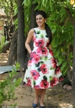 nikki-galrani-latest-pictures-300-00350