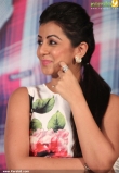 nikki-galrani-latest-pictures-300-00546